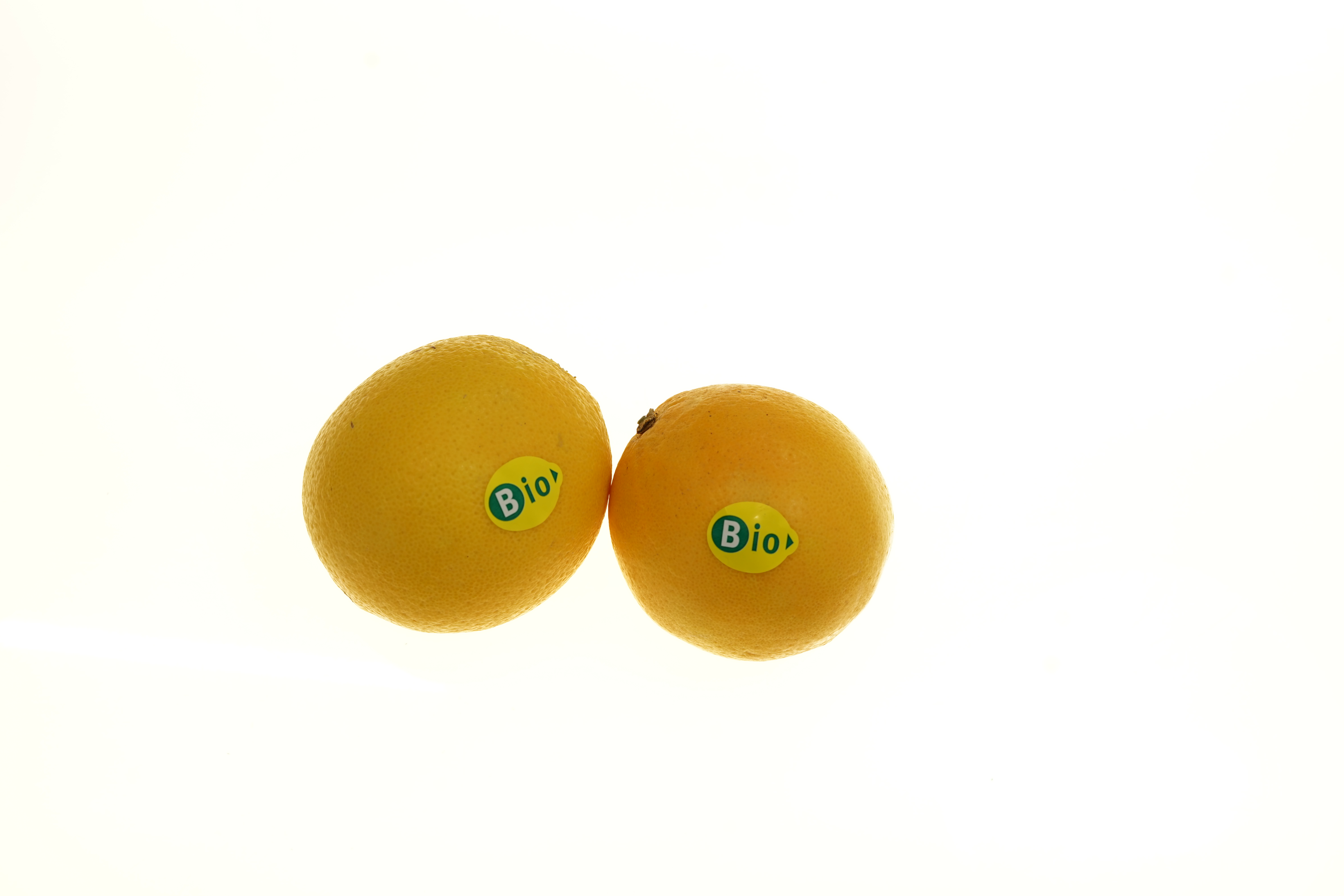 Bio-Sortiment KW49-50 Bio Orangen